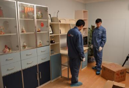 展示图片